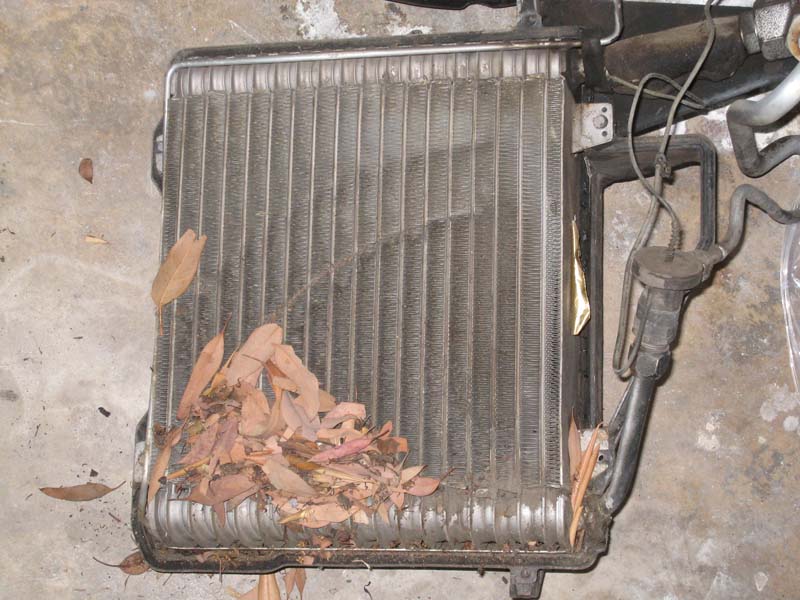 1964 Impala Restoration evaporator leaves IMG_2325.jpg